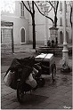 IMGP2463BW copie